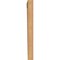 Ekena Millwork Traditional Traditional Smooth Bracket, Western Red Cedar, 3 1/2"W x 26"D x 38"H BKT04X26X38TRA01SWR - alternate 3